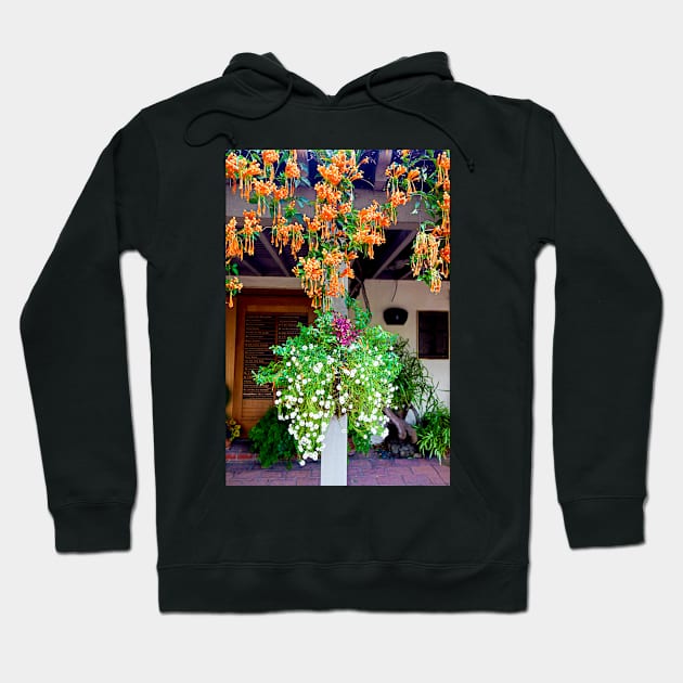 Sherman Gardens Study 35 Hoodie by bobmeyers